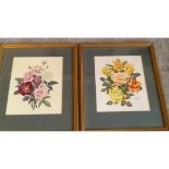 PAIR OF FRAMED BOTANICAL STUDIES