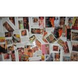 ADULT GLAMOUR - 280+ PLAYBOY TRADING CARDS