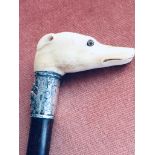 19th CENTURY CONTINETAL BONE & SILVER GREYHOUND PARASOL/CANE HANDLE