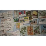 TRADE CARDS - PLAIN BACKED JOB LOT