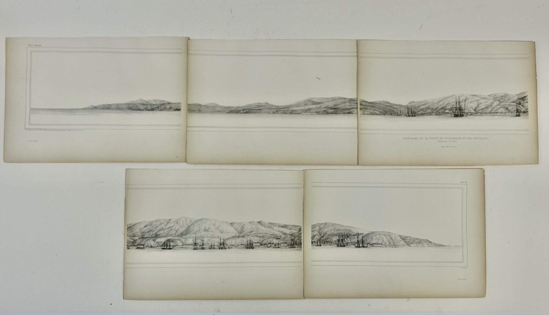 D'ORBIGNY, A.D. -- COLLECTION of 142 engr./lithogr. plates by A.D. d'Orbigny after - Image 3 of 3