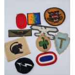 10 Cloth Military Patches