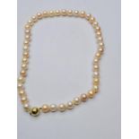Pearl necklace with magnetic clasp, weight 51g and 40cm long approx