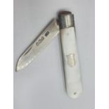 Vintage silver bladed fruit knife, having mother of pearl handle with blank silver cartouche,