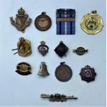 12 assorted badges and medals