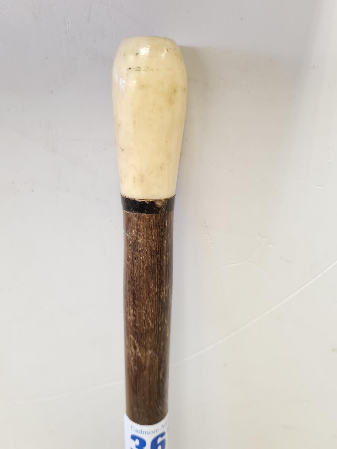 19th century non-commissioned officer wooden parade Stick with Ivory handle and tip probably form - Image 5 of 5