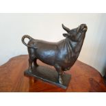 Bronze bull H22 W20