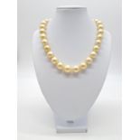 Golden graduated south sea pearl set in 18ct yellow gold and diamond clasp, individually knotted