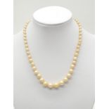 String of graduated cultured pearls with silver clasp, weight 18.4g and 36cm long approx