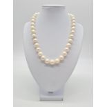 Set of graduated south sea pearl necklace set in 14ct gold and diamond clasp, weight 81.7g and