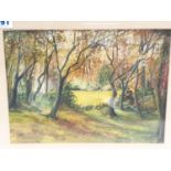 Watercolour on board of a forest view. 45 x 37cm.