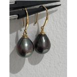 Tahitian pearl drop earrings in 18k gold; each pearl around 11.5x9.5mm