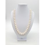 Fresh water pearl necklace set in silver clasp with expandable chain, weight 62.2g approx
