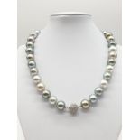 Set of graduated South sea pearl necklace set in 18ct gold and diamond clasp, different shades of