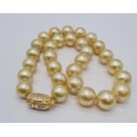 Golden south sea pearl necklace set in 14ct gold clasp, individually knotted pearls size 7-10mm