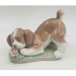 A Lladro porcelain figurine of a dog enjoying the beauty of a flower. 14x12cm.