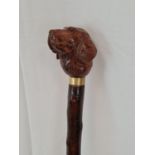 A vintage walking cane with carved wooden Labrador head. 100cm long.