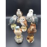 Collection of 7 liquor bottles of various birds of prey. Made by Beswick, Barn Owl and Beneagles