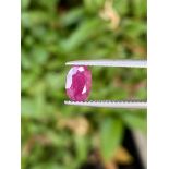 NATURAL RUBY - 1.65 Cts - Certificate GIA 1368694994
