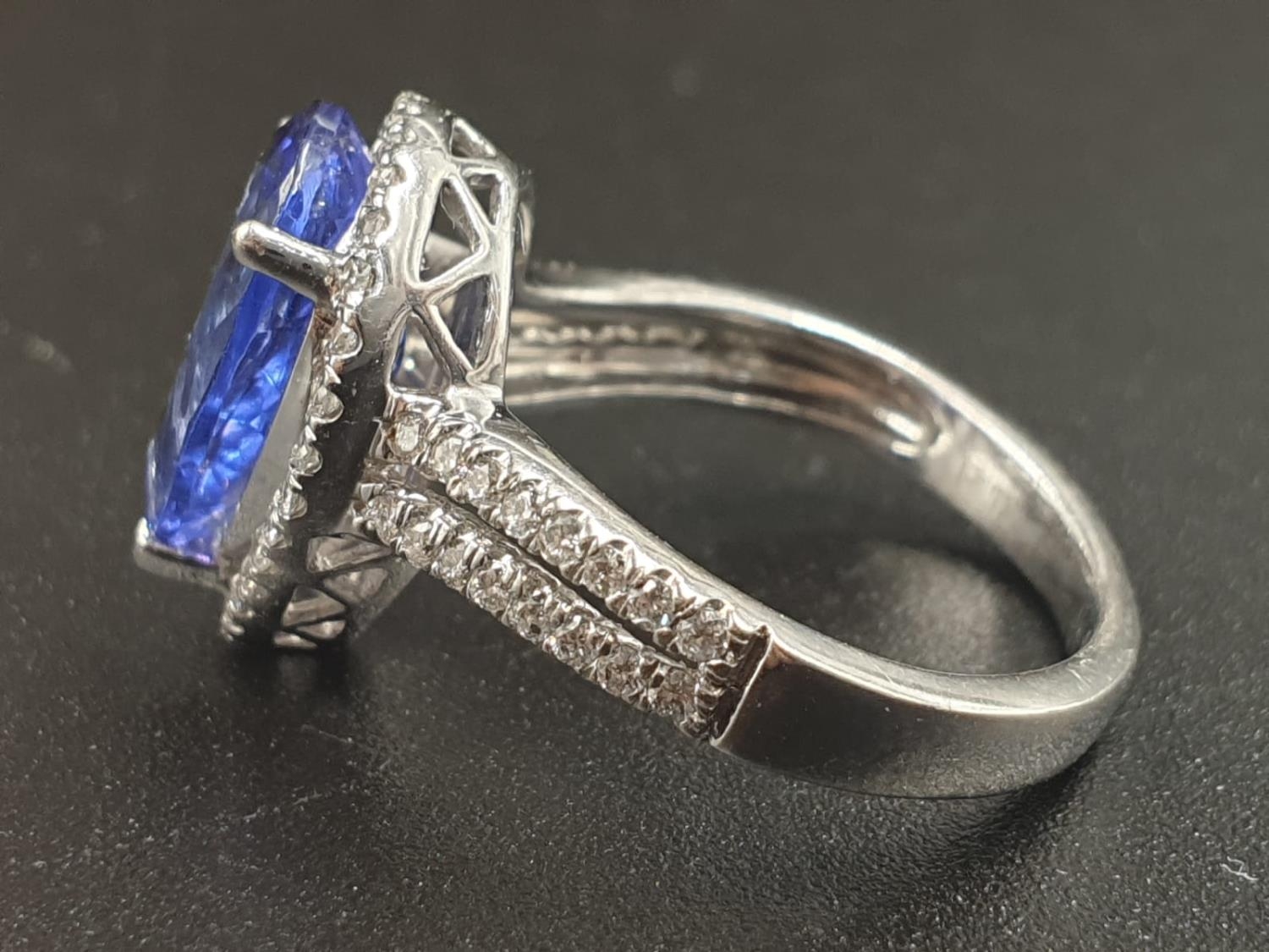 A 14CT WHITE GOLD MATCHING SET OF EARRINGS AND DRESS RING WITH LARGE PEAR SHAPED TANZANITE STONES - Image 4 of 14