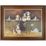 A Puppy Print by David Shephard - 68 x 53cm.