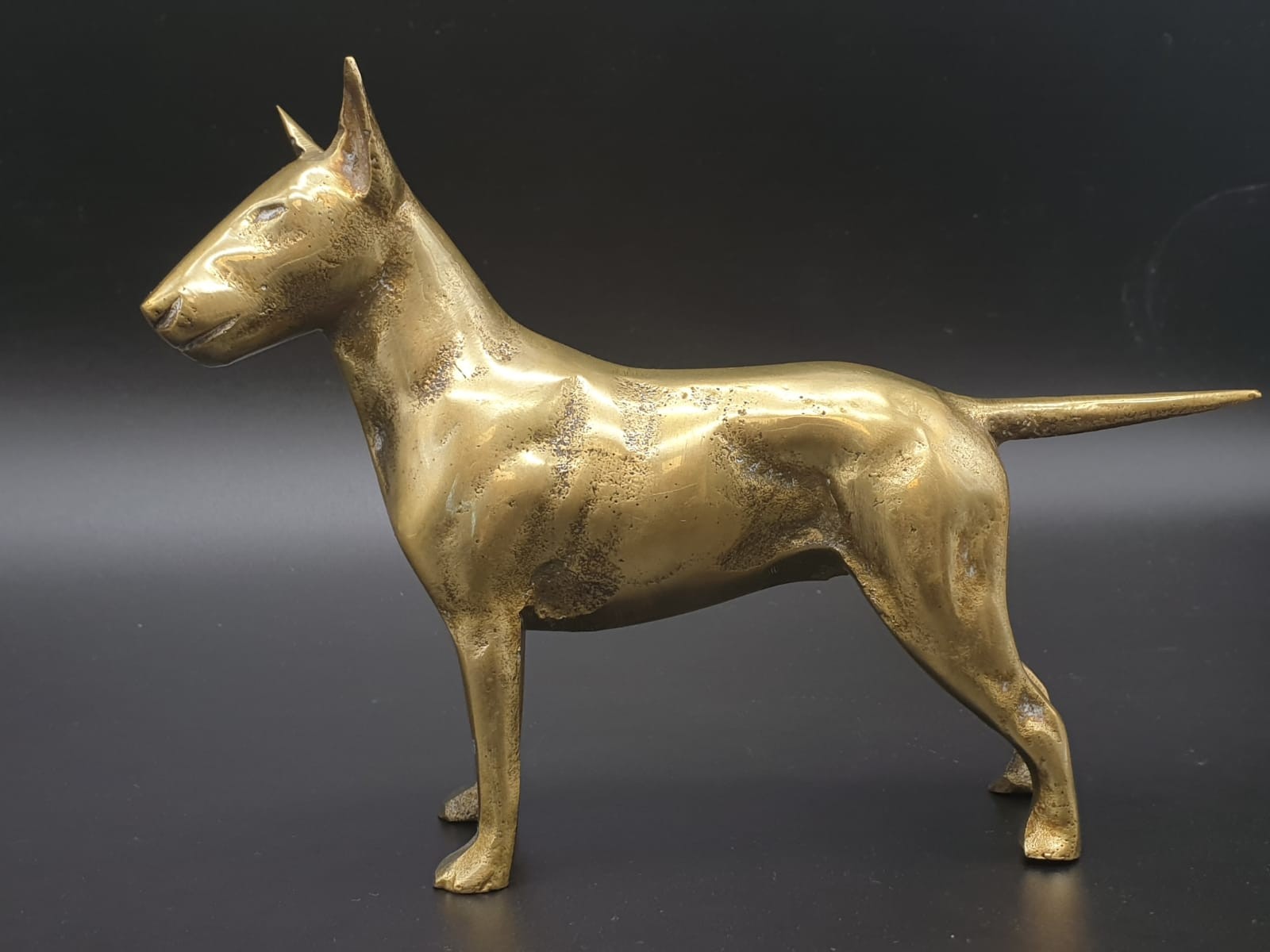Solid Brass English Bull Terrier. 1.5 kilo 18 x 13cm