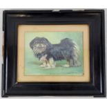 Mandi by Artist Maud Turner - Watercolour Painting of a Pekingese Dog. In original frame - 34 x