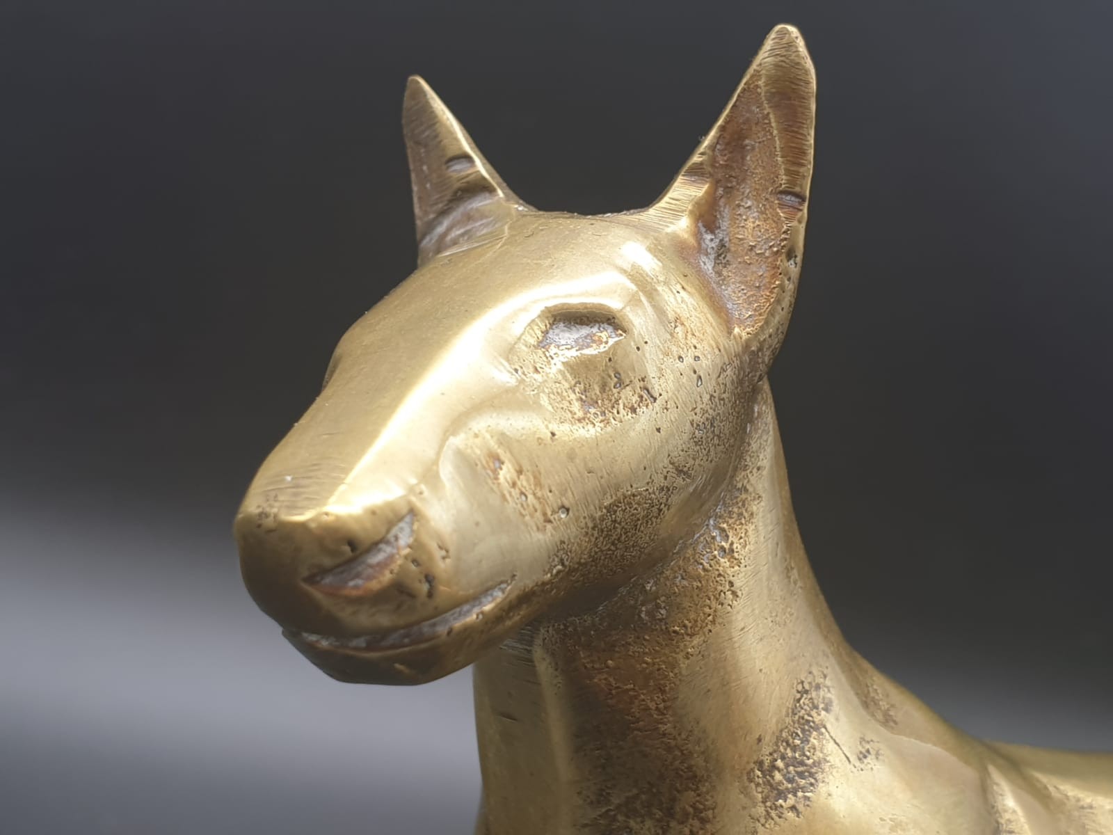 Solid Brass English Bull Terrier. 1.5 kilo 18 x 13cm - Image 5 of 5