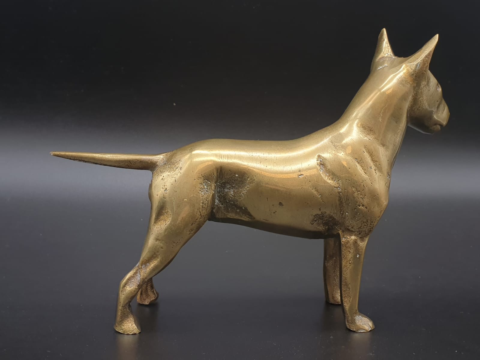 Solid Brass English Bull Terrier. 1.5 kilo 18 x 13cm - Image 3 of 5