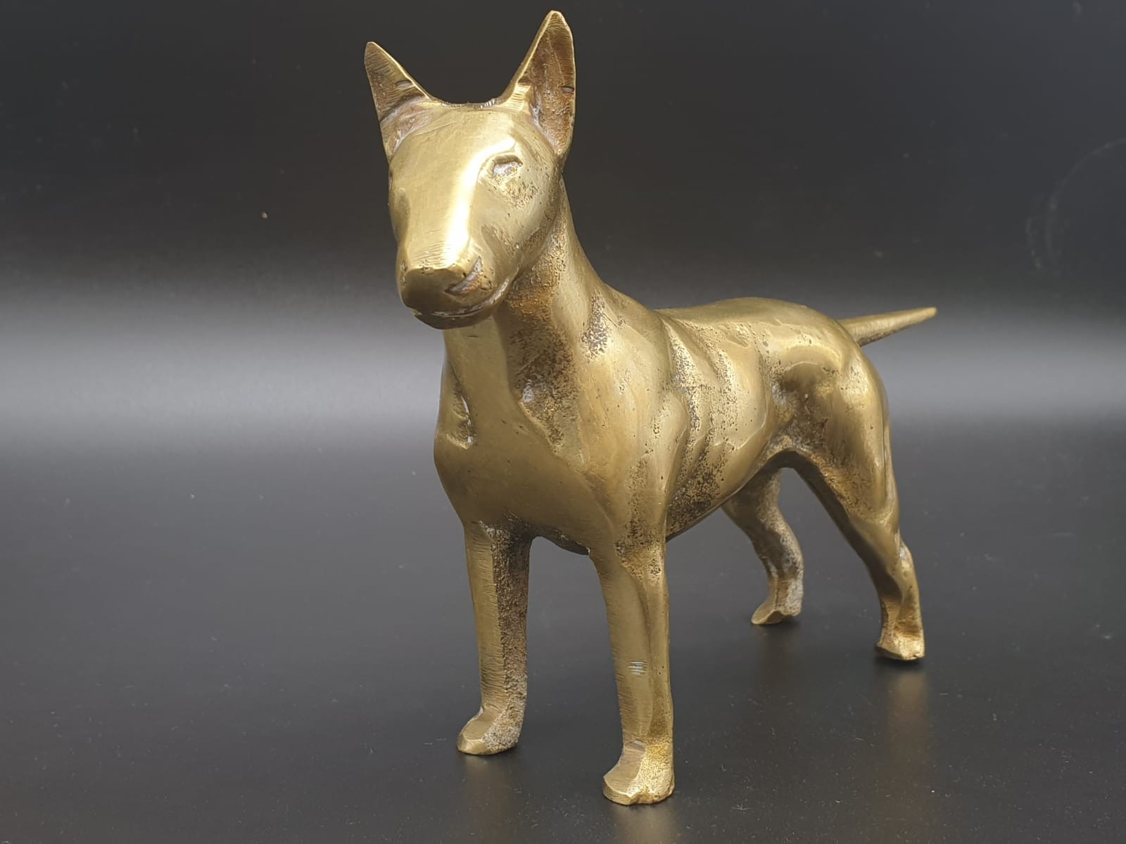 Solid Brass English Bull Terrier. 1.5 kilo 18 x 13cm - Image 2 of 5