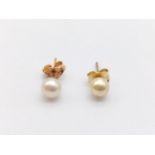 A Pair of 14K Yellow Gold Pearl Stud Earrings.