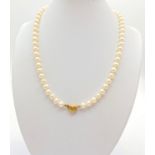 Quality string of Japanese Pearls with silk strand and 9ct gold clasp. Length 40cm.