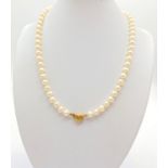 Quality string of Japanese Pearls with silk stand and 9ct gold clasp. Length 40cm.