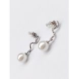 Sterling Silver and Pearl Drop Earrings in a presentation box. 2g