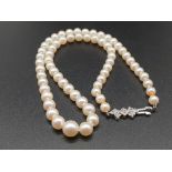 A SINGLE ROW STRING OF PEARLS NICELY GRADUATED WITH SILVER CLASP. 40cms
