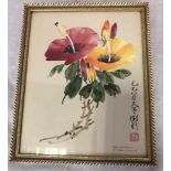 A Small Water Colour Painting of a Fiji Hibiscus Flower. Signed, in frame. 24 x 30cm