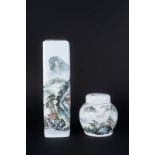 Arte Cinese Two porcelain vases painted with landscapeChina, 20th century .