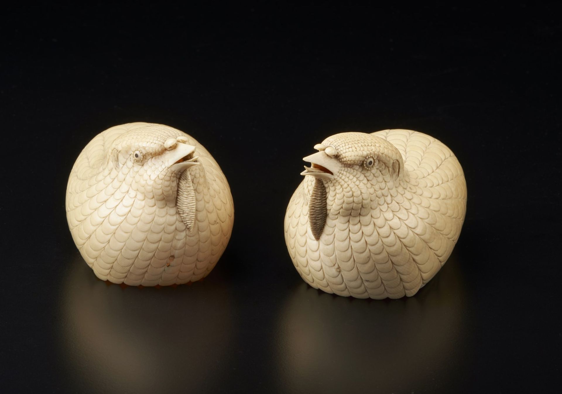 Arte Cinese A pair of ivory quails China, Qing dynasty, 18th century . - Image 3 of 6