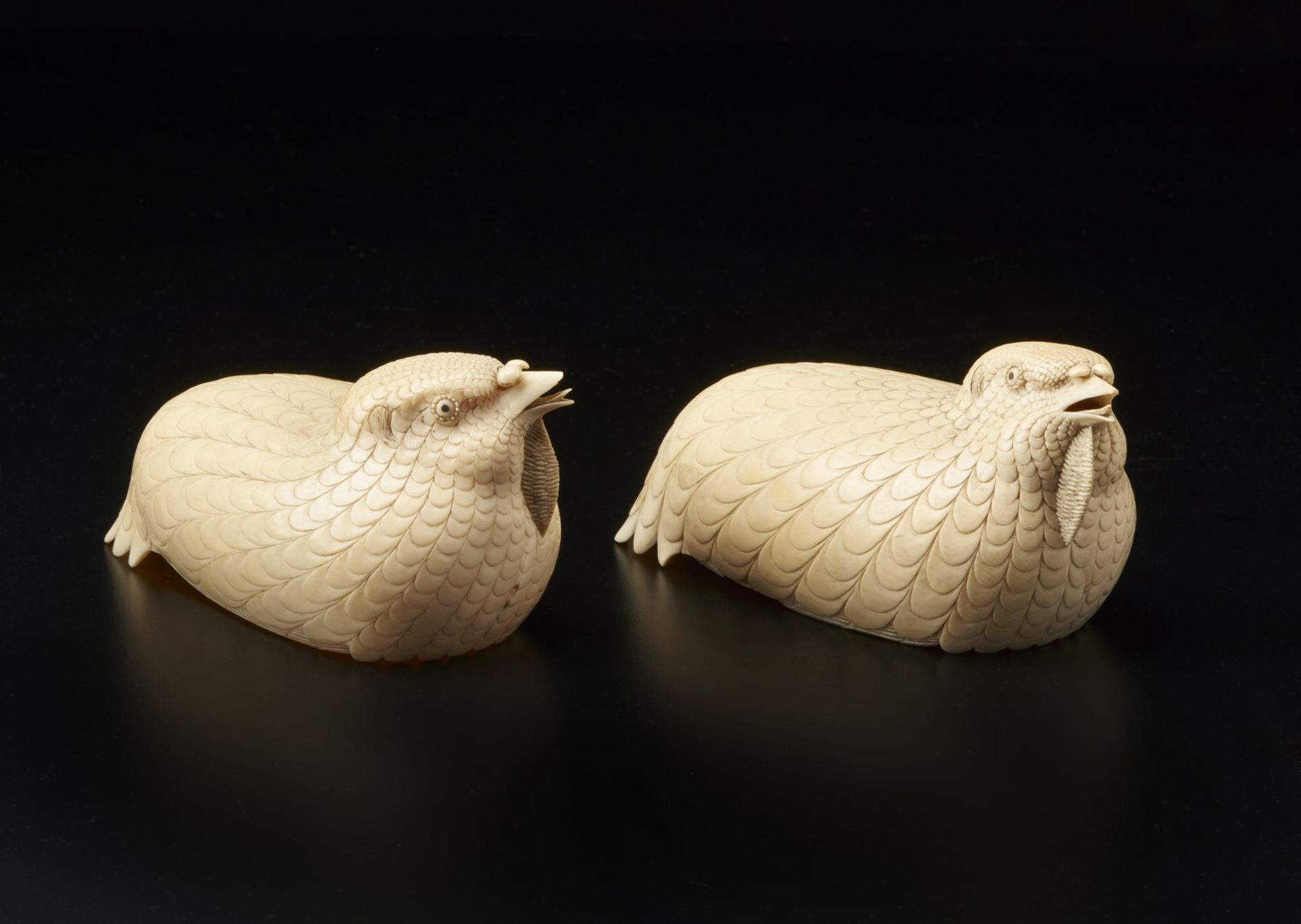 Arte Cinese A pair of ivory quails China, Qing dynasty, 18th century . - Image 6 of 6