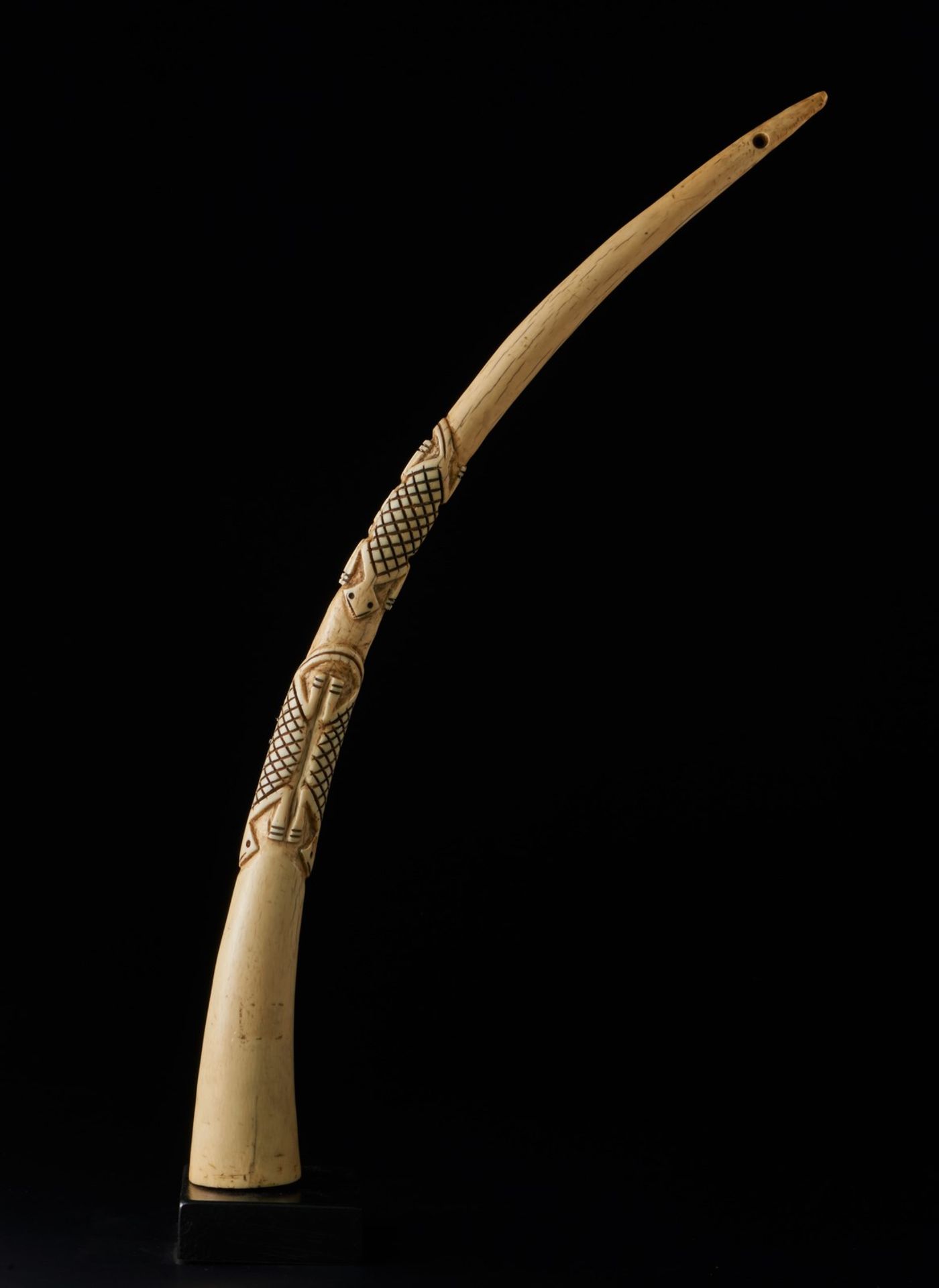 Arte africana Ceremonial horn, Igala (?)Nigeria.