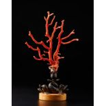 Naturalia A red coral branch on an antique bronze twisted dolphine shaped base Italy, 19th century