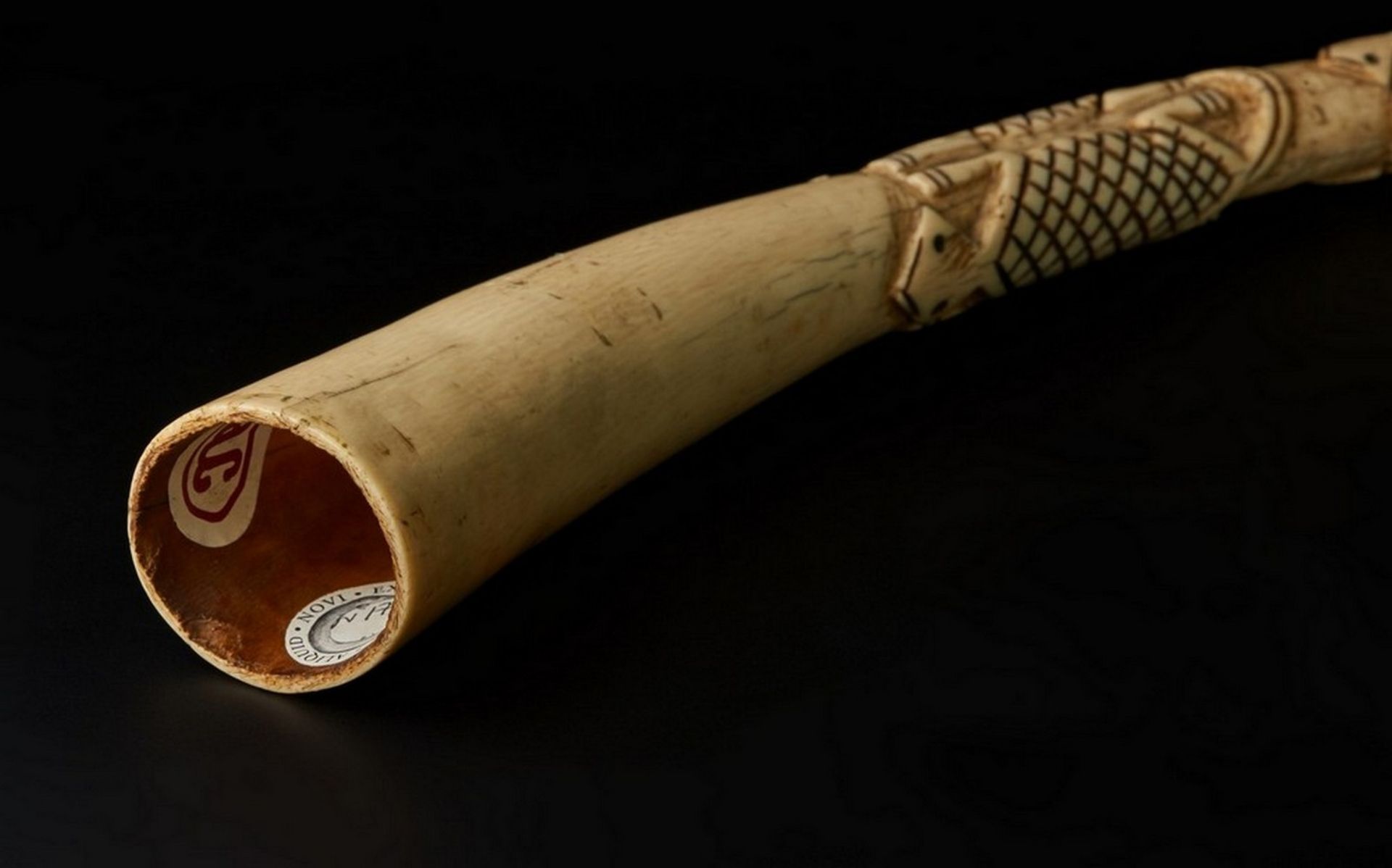 Arte africana Ceremonial horn, Igala (?)Nigeria. - Bild 4 aus 4