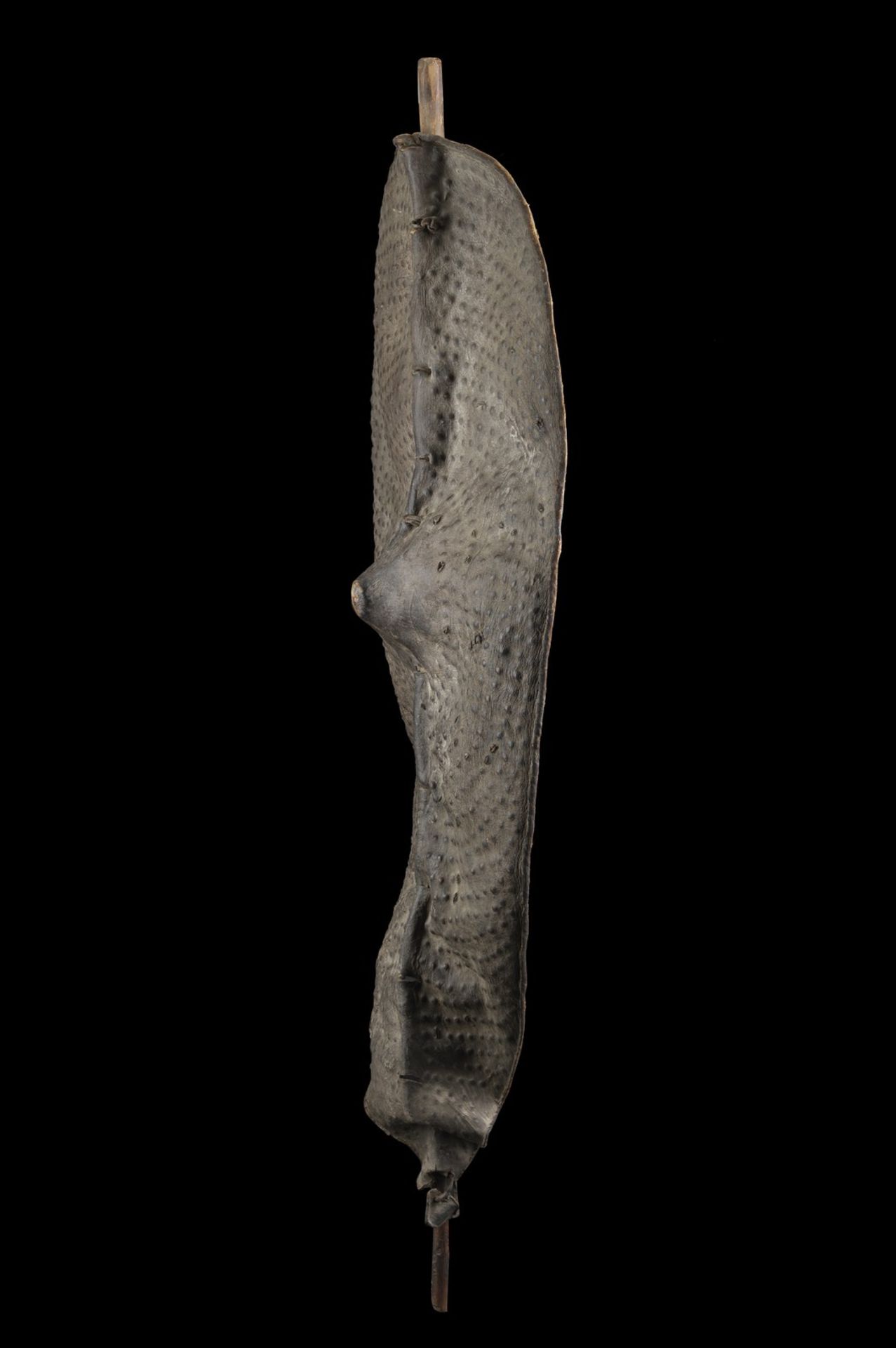 Arte africana An elephant skin shield Congo (?) . - Image 2 of 3