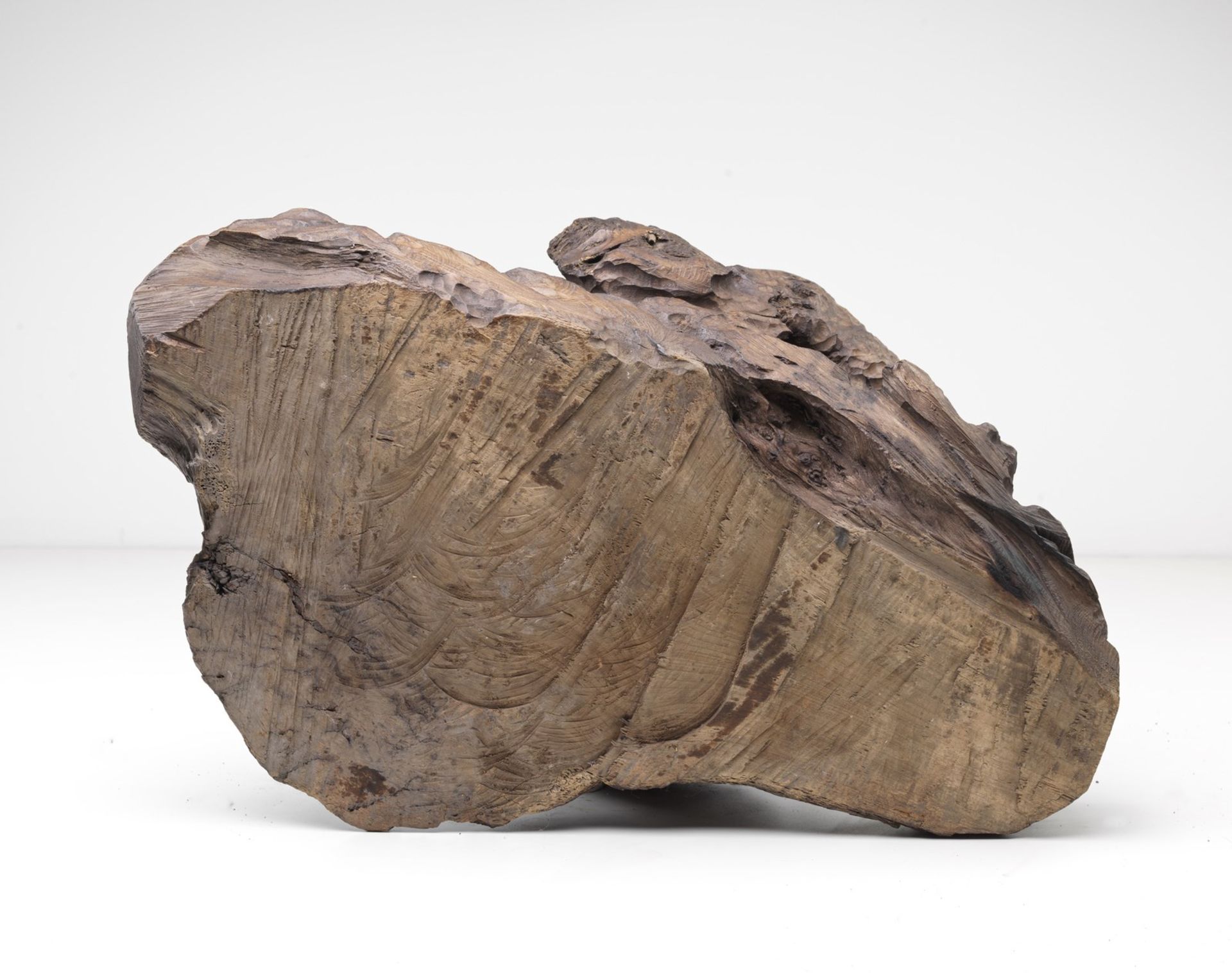 Naturalia A wooden root carved with the head of a snow lionTibet, 19th century. - Image 5 of 5