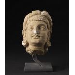Arte Indiana A Gandhara plaster head of Bodhisattva Nowadays Pakistan, Gandharan art, 4th-5th centu
