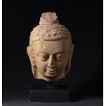 Arte Indiana A stone Gupta style Buddha head India, 5th century or later .