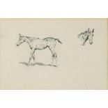 English school, 19th century, study of a foal, pencil, 14 x 20 cm