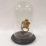 Taxidermy: an anthropomorphic toad, carrying a walking stick and a glass jar, reading Cure All