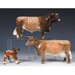 A Beswick Dairy Shorthorn bull CH. Gwersylt Lord Oxford 74, a Dairy Shorthorn cow CH. Eaton Wild