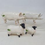 A Beswick sow, 1452A, a boar, 1453A, a black faced sheep, 1765, a black faced lamb, 1828, and two